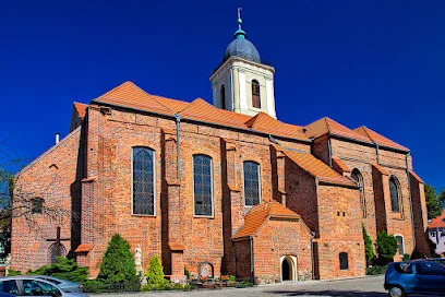 Konkatedra św. Jadwigi Śląskiej