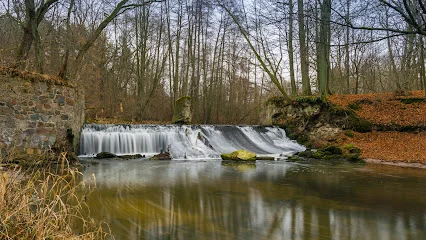 Ruiny młyna nad rzeką Szyszyna