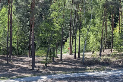Wzgórza Piastowskie